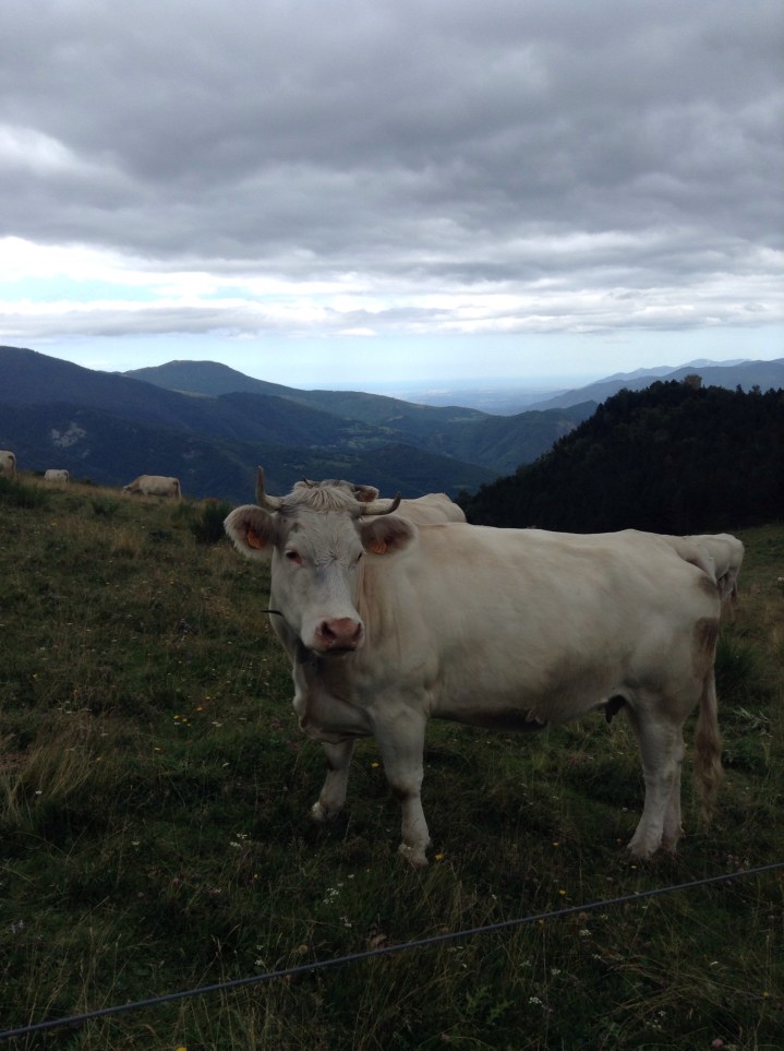 Camprodon and the Pyrenees, Catalonia