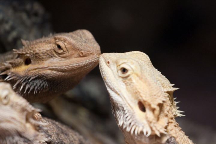 5 Things I Love About Spanish Culture